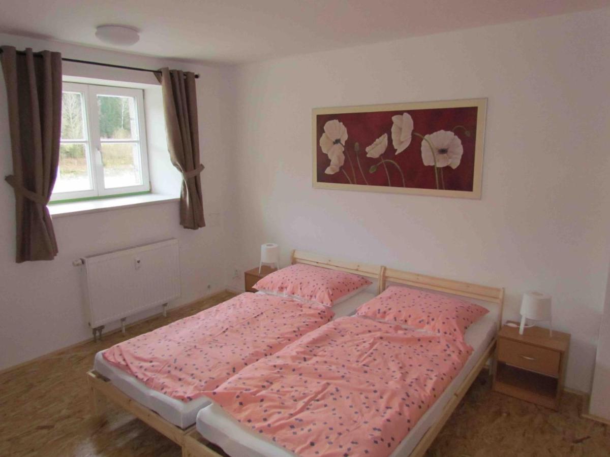 Aparthotel Dopravna Alzbetin à Železná Ruda Extérieur photo